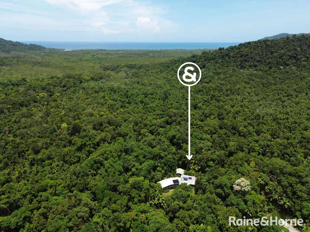 2159 CAPE TRIBULATION ROAD (DEEP FOREST LODGE)RES, DIWAN, QLD 4873