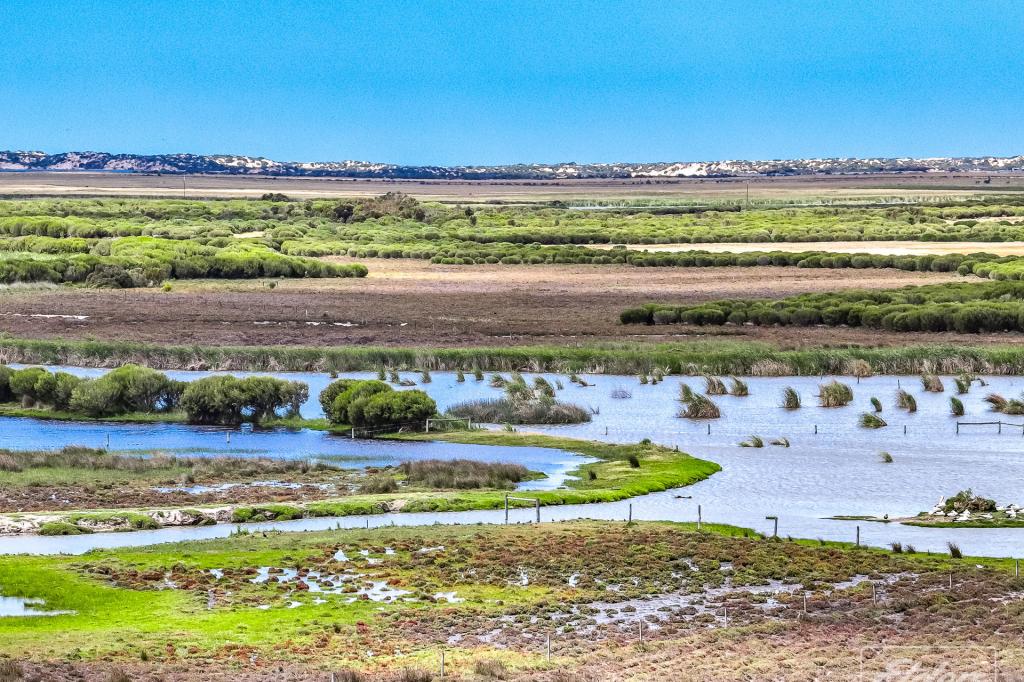 1408a Randell Rd, Hindmarsh Island, SA 5214