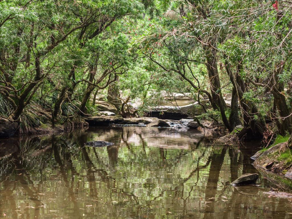 497 Yabbra Rd, Yabbra, NSW 2469