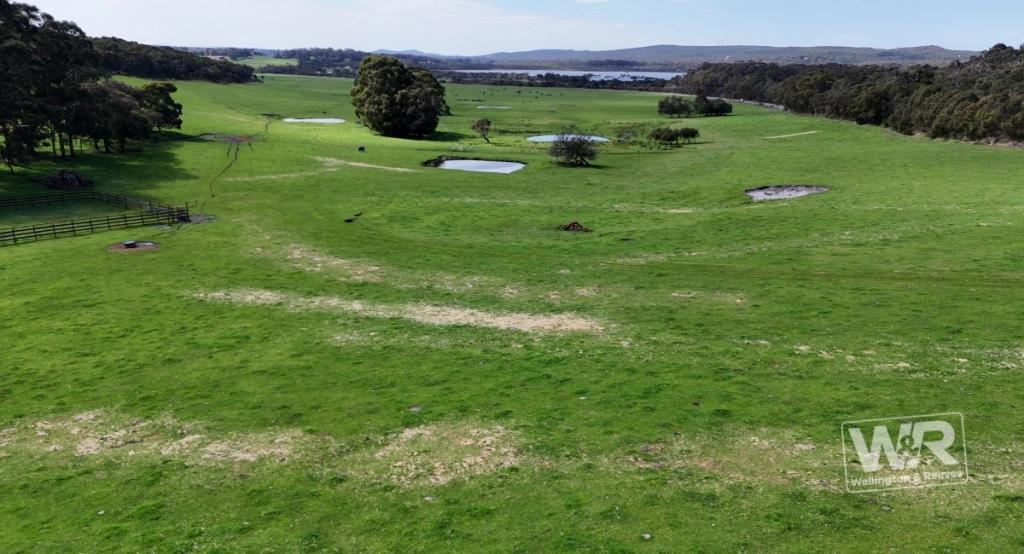 PROP LOT 99 LOWER DENMARK RD, TORBAY, WA 6330