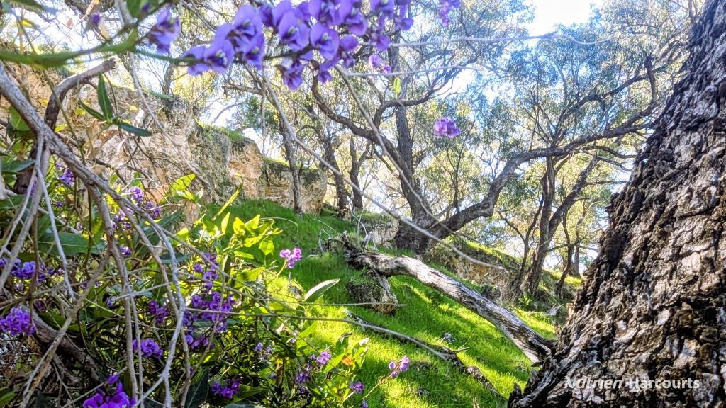 Lot 51 Millbank Rd, Cowalla, WA 6503