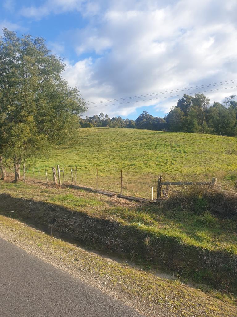 7 BROOKLAND AVE, ACACIA HILLS, TAS 7306