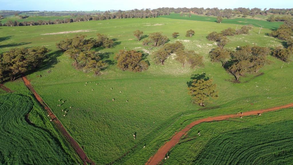 140 Dumbarton Rd, Dumbarton, WA 6566