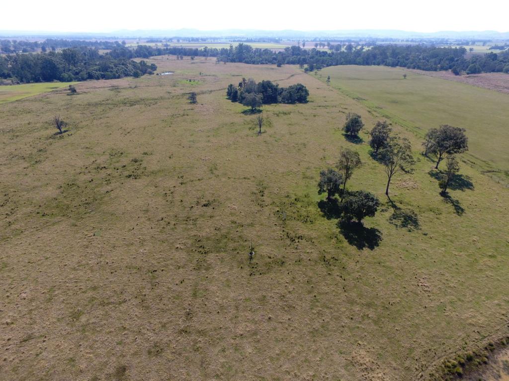 440 PERKINS BRIDGE RD, TATHAM, NSW 2471