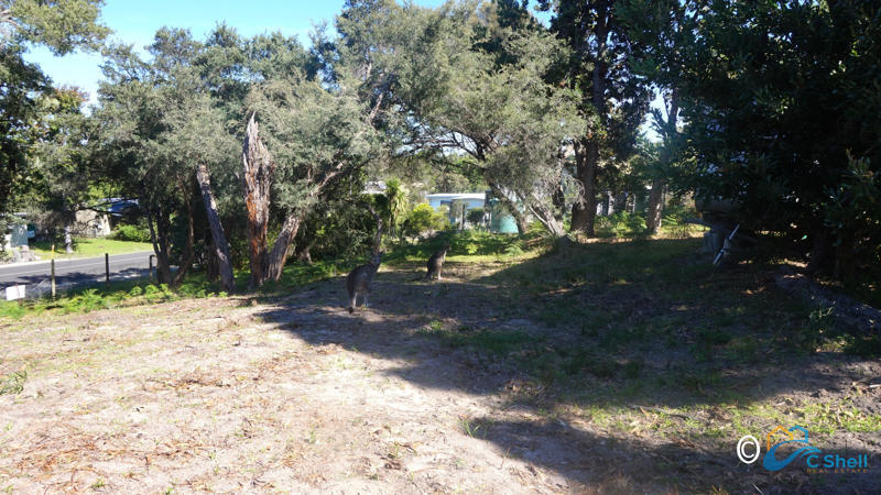 329 - 331 National Park Rd, Loch Sport, VIC 3851