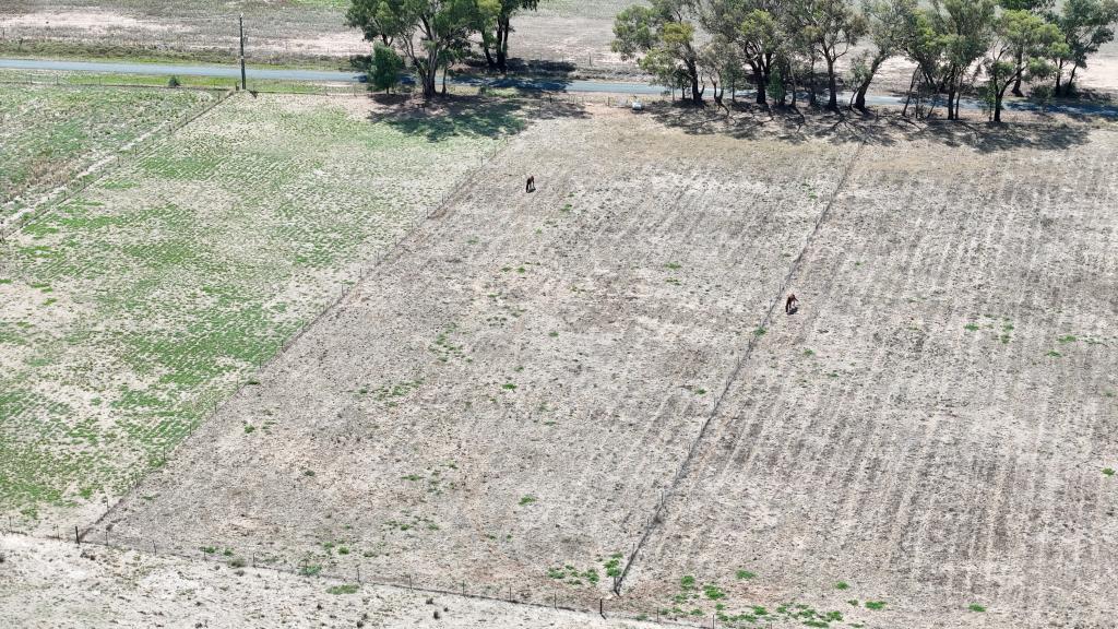 244 Manganese Rd, Grenfell, NSW 2810