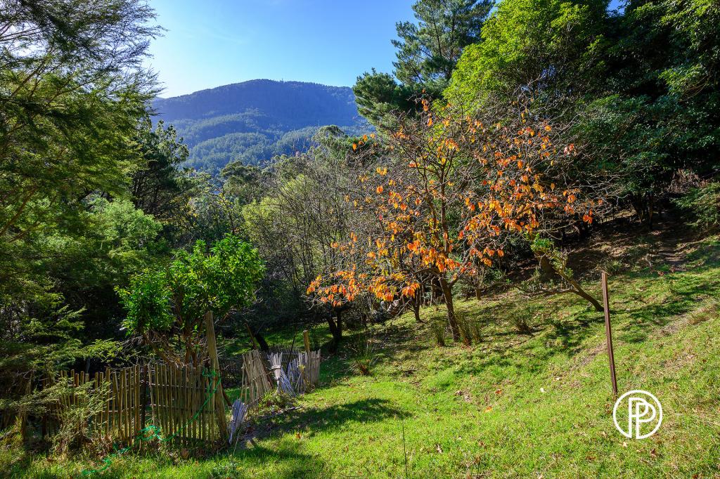 Lot 41/20 Ferntree Ave, Warburton, VIC 3799