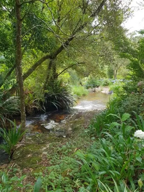 Contact Agent For Address, Springbrook, QLD 4213