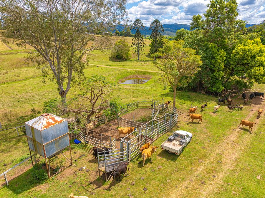 47 Tamlyn Rd, Kenilworth, QLD 4574