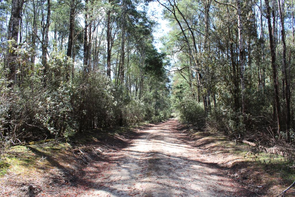 188 Bassett'S Rd, Calder, TAS 7325