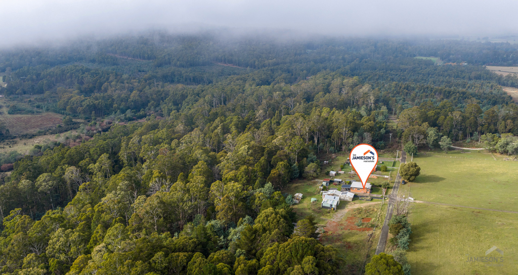 124 Wadleys Rd, Reedy Marsh, TAS 7304