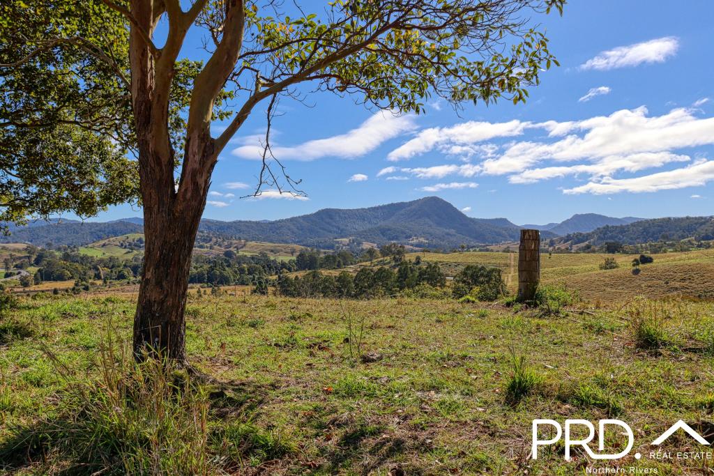 Lot 30, 46 Lynches Creek Rd, Wiangaree, NSW 2474