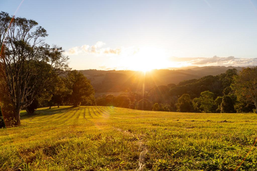 Lot 4/400 Coorabell Rd, Coorabell, NSW 2479