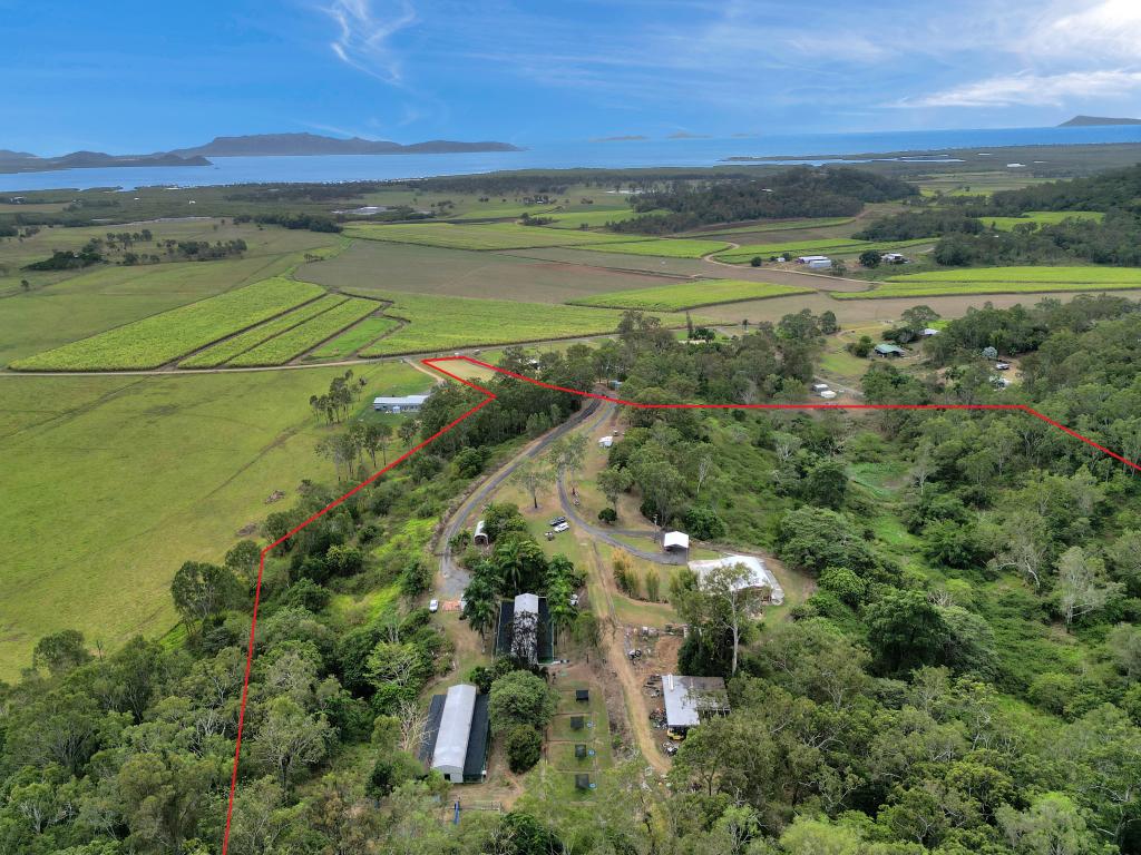 227 Olletts Rd, Habana, QLD 4740