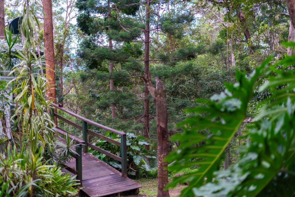 636 Palmwoods-Montville Rd, Montville, QLD 4560