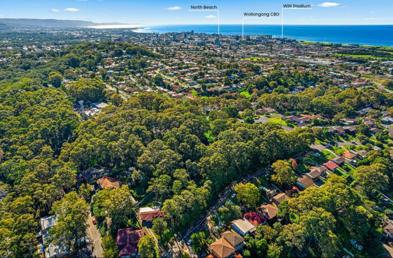 41 THE AVENUE, MOUNT SAINT THOMAS, NSW 2500
