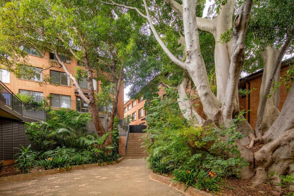 11/492-500 Elizabeth St, Surry Hills, NSW 2010