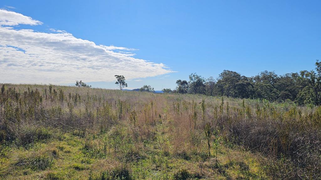 Lot 443 New England Hwy, Emu Creek, QLD 4355