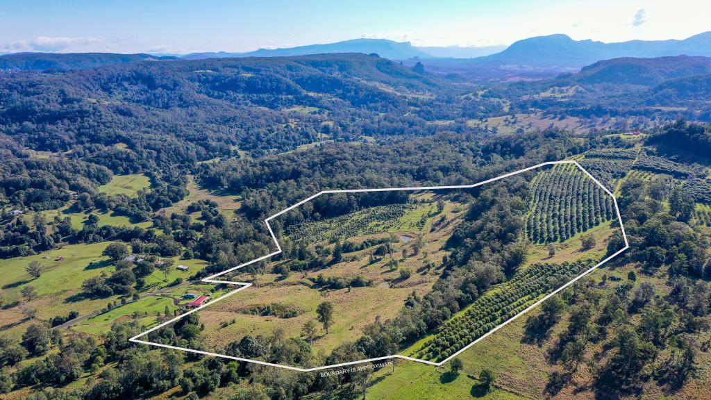 1740 Nimbin Rd, Koonorigan, NSW 2480