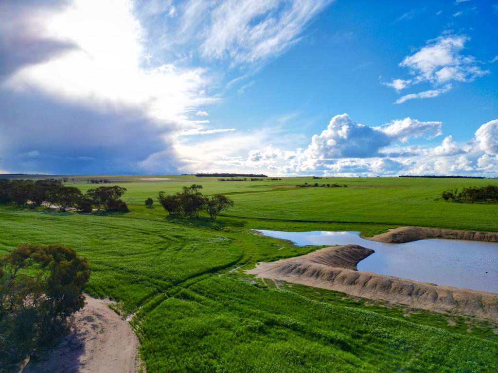 488 Allen Rock Rd, Hyden, WA 6359