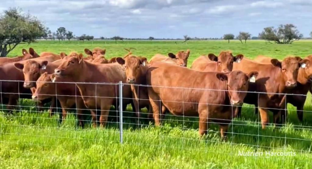 271 Mayfield Rd, Beermullah, WA 6503