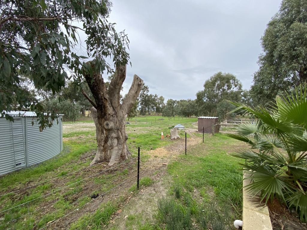 16 Hanlin Rd, Forrestdale, WA 6112