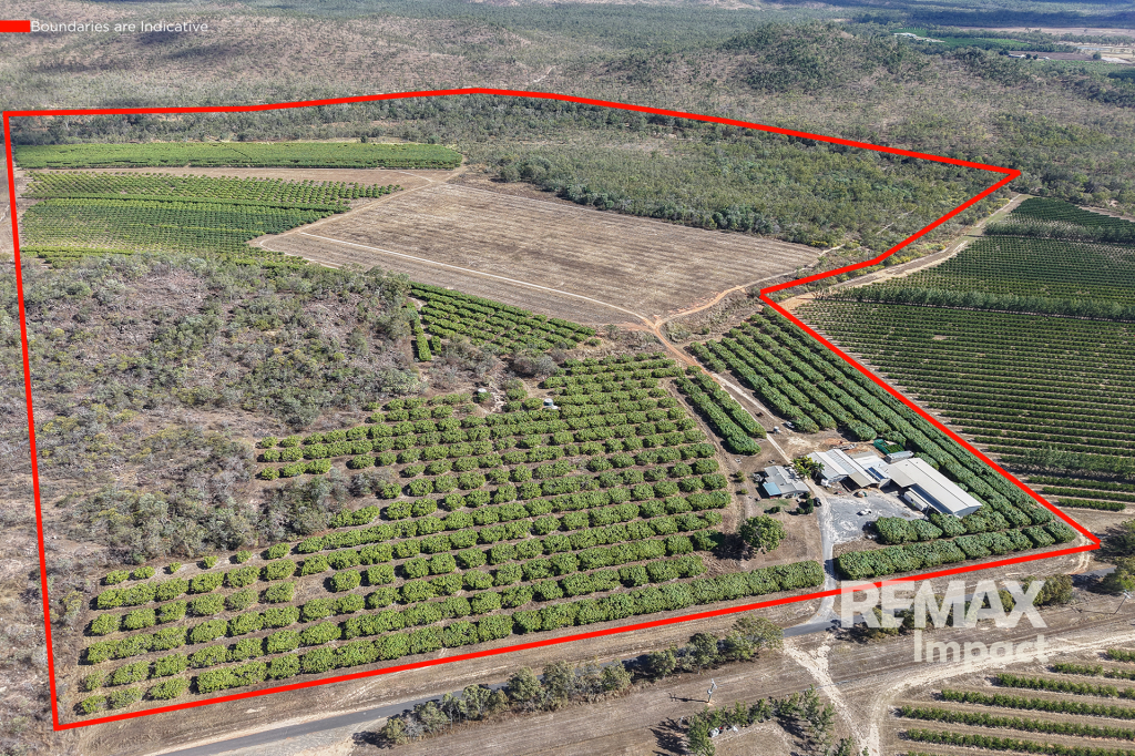 1151 Leafgold Weir Rd, Dimbulah, QLD 4872
