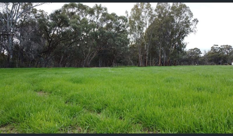 Contact Agent For Address, Echuca Village, VIC 3564