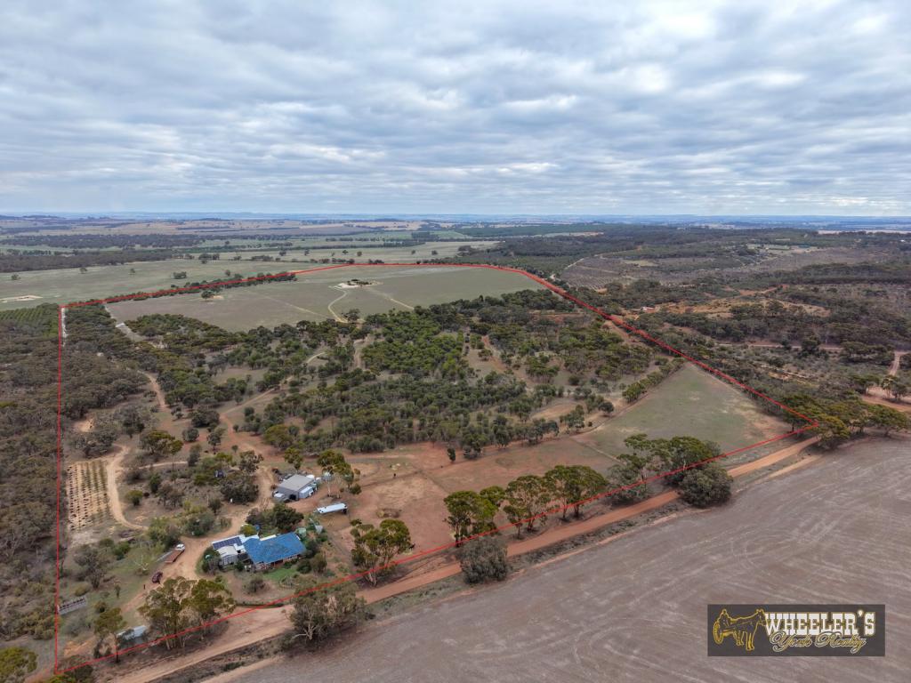 38 AVOCA RD, MORBINNING, WA 6304