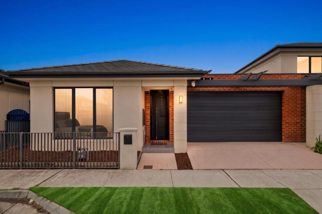 115 Billy Buttons Dr, Narre Warren, VIC 3805
