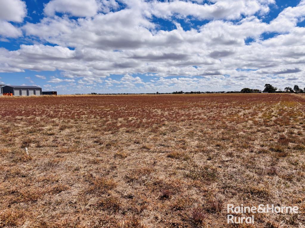 124 GEOGHEGAN RD, ROMA, QLD 4455