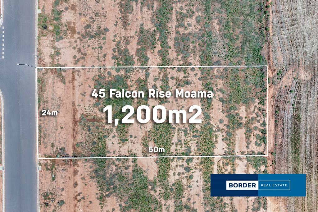 45 FALCON RISE, MOAMA, NSW 2731