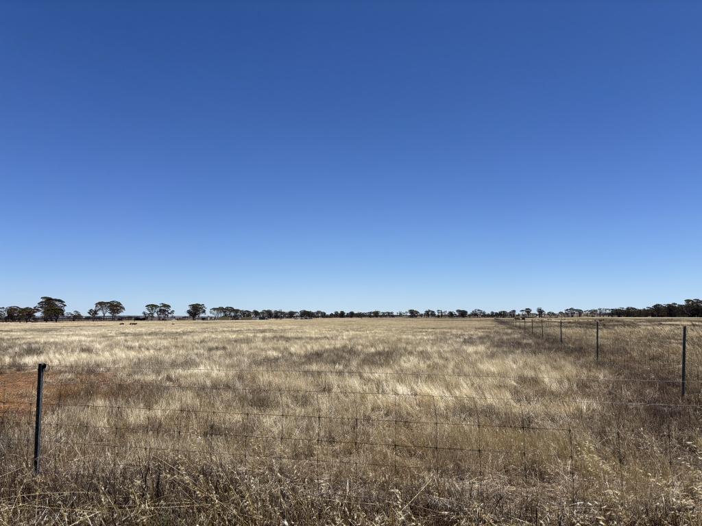 Lot 19 Great Eastern Hwy, Nangeenan, WA 6414