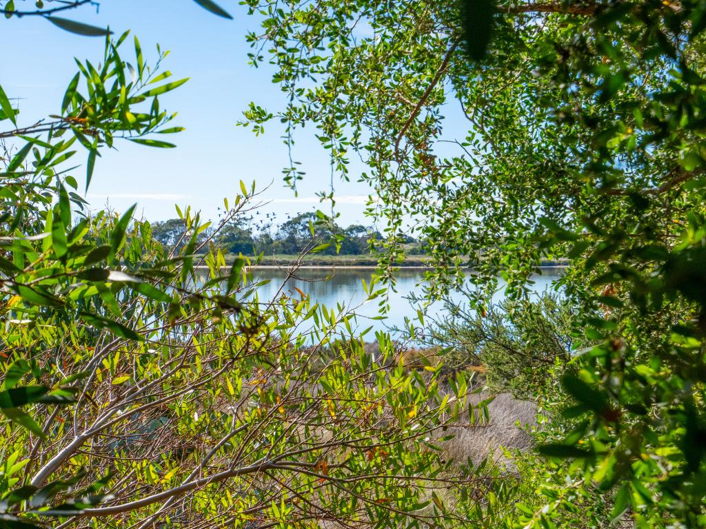 702 Bay Rd, Marion Bay, TAS 7175