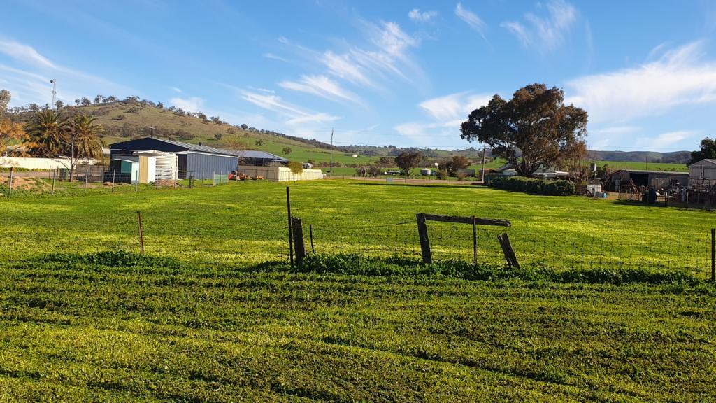 10 Gunyah Rd, Wilmington, SA 5485