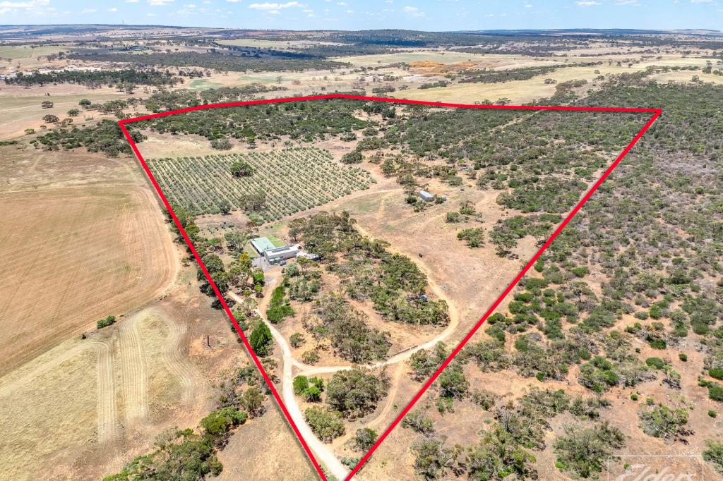 775c North Bremer Rd, Hartley, SA 5255