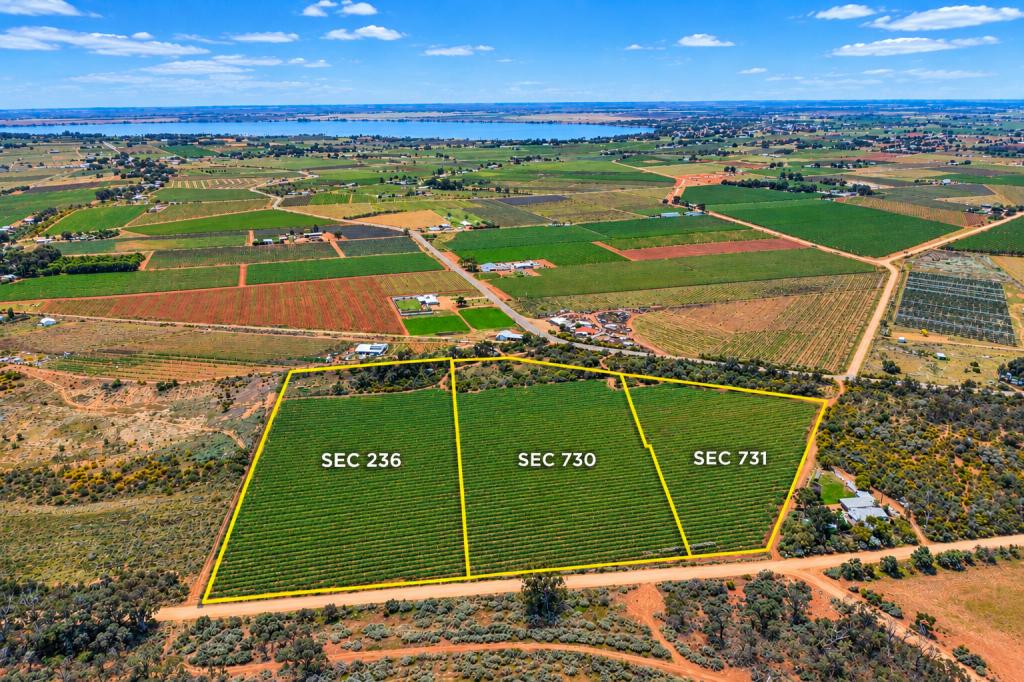 Sec 236, 730 & 731 Schell Rd, Loveday, SA 5345