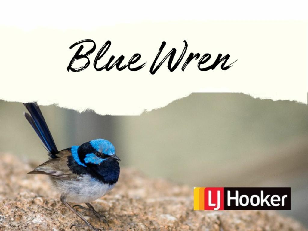 6/128 Dappo Rd, Narromine, NSW 2821