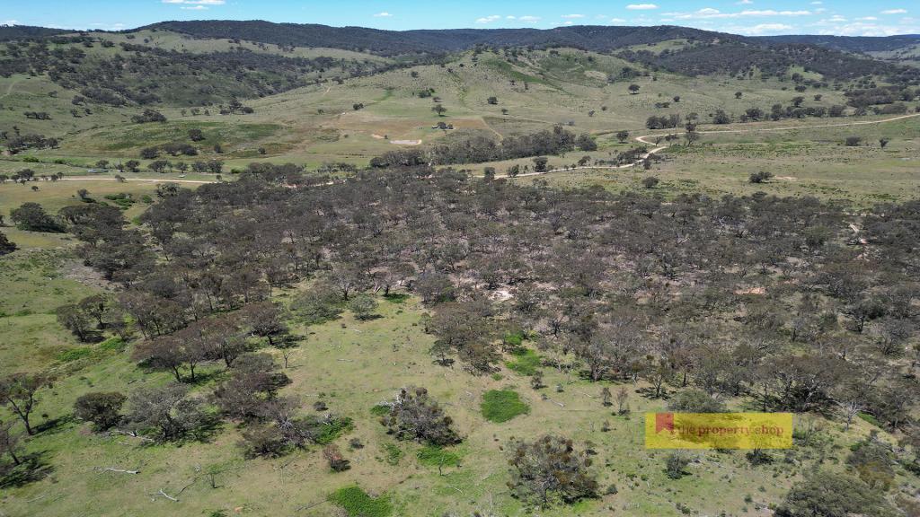 955 Campbells Creek Rd, Mudgee, NSW 2850