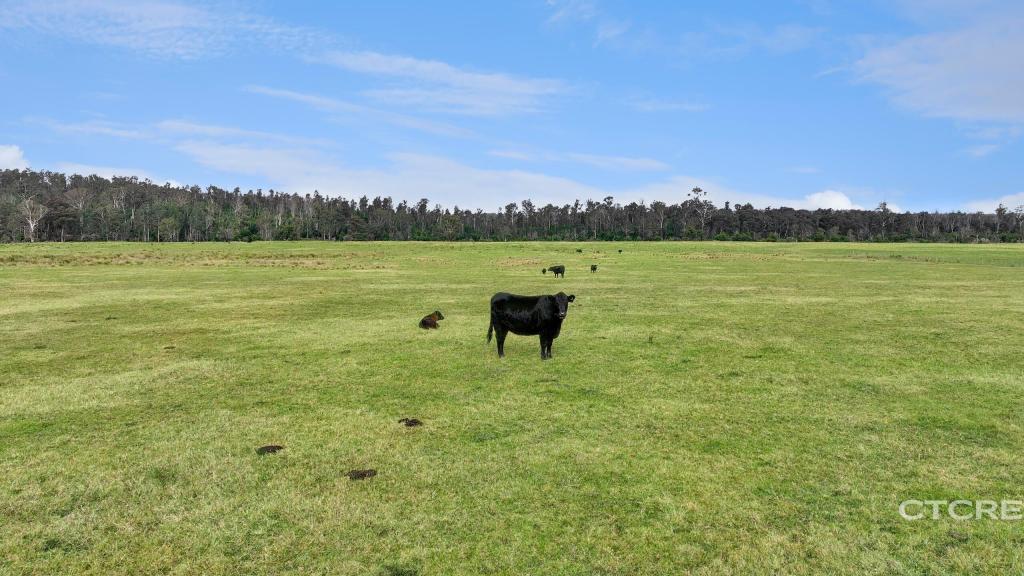 1664 Wangarabell Rd, Wangarabell, VIC 3891