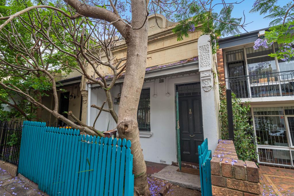 24 BUCKNELL ST, NEWTOWN, NSW 2042