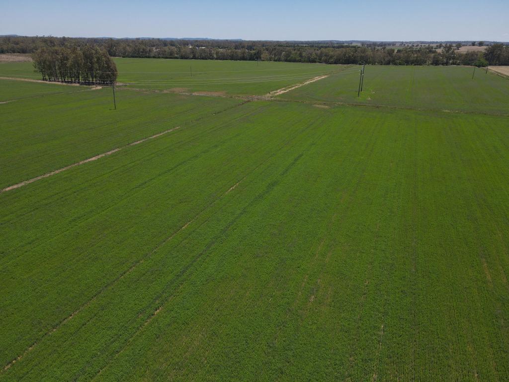 160 Lachlan Valley Way, Forbes, NSW 2871