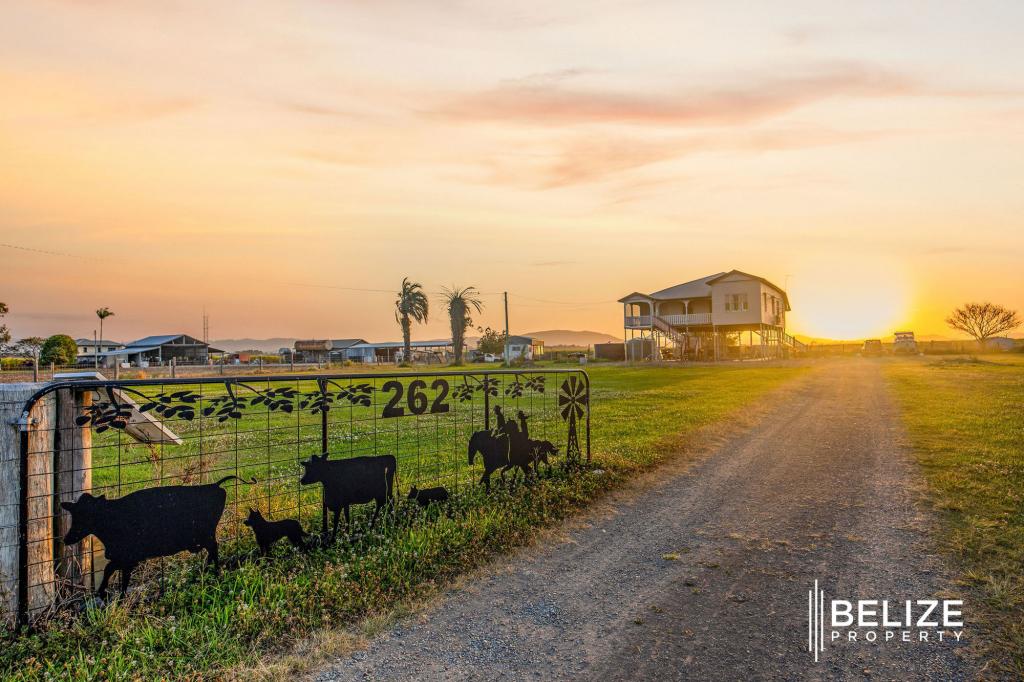 262 Norwell Rd, Norwell, QLD 4208