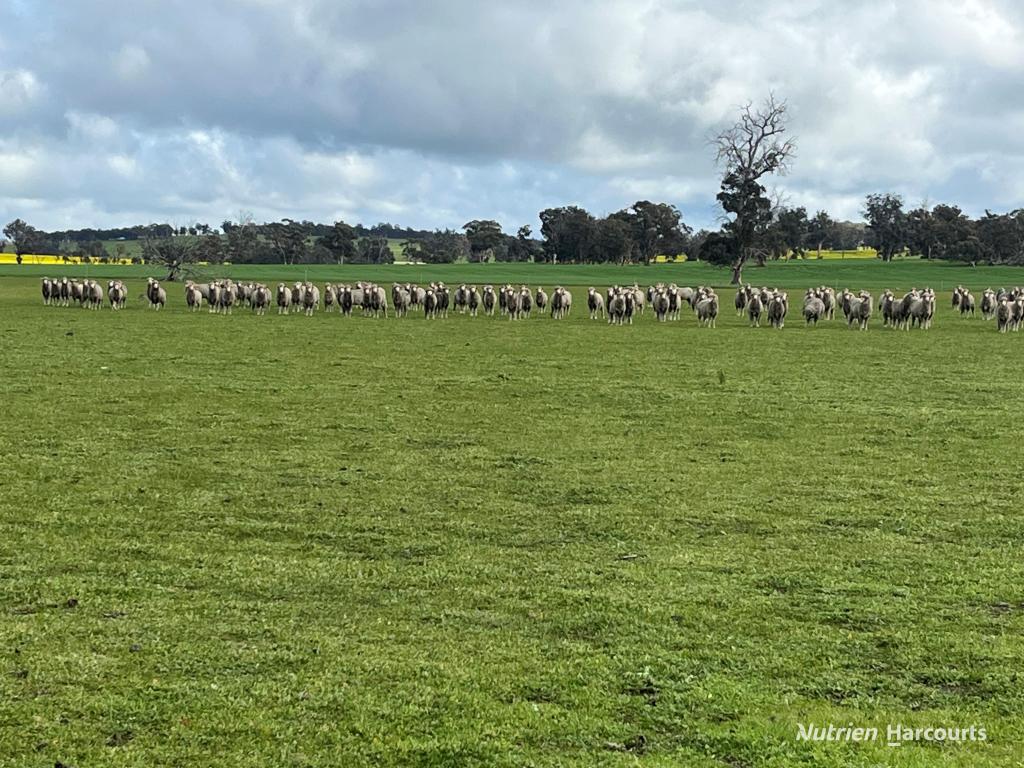 Lot 4572 Gorn Rd, Bokal, WA 6392