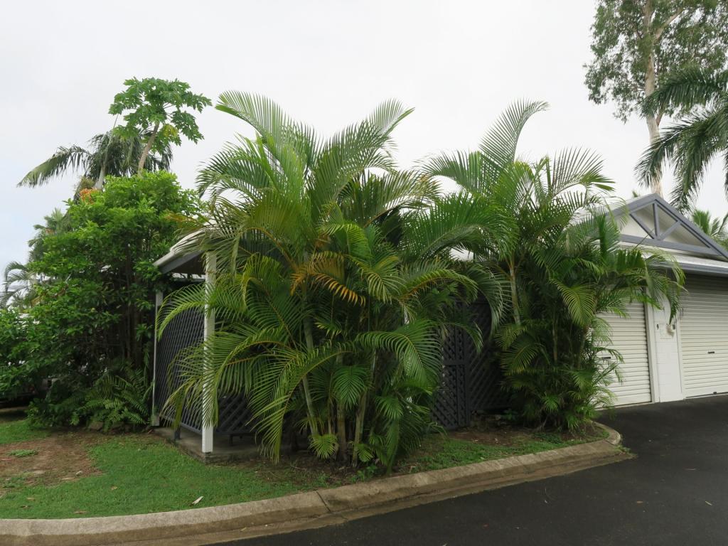 9/389 Mccoombe St, Mooroobool, QLD 4870