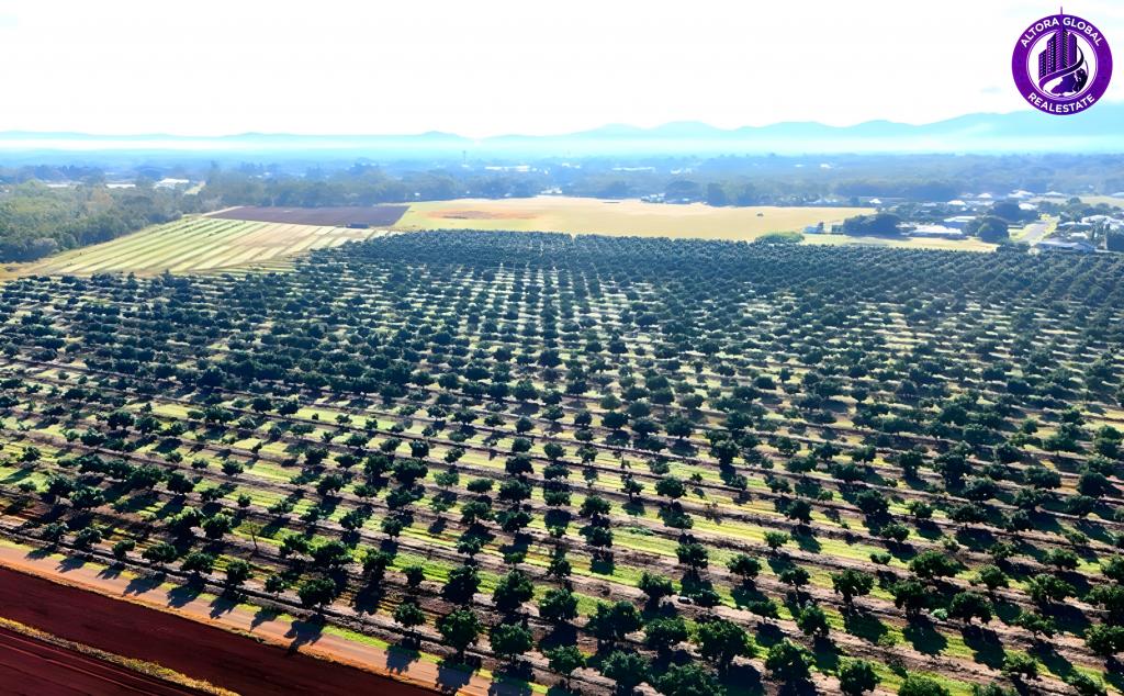 326 Springs Rd, Paddys Green, QLD 4880