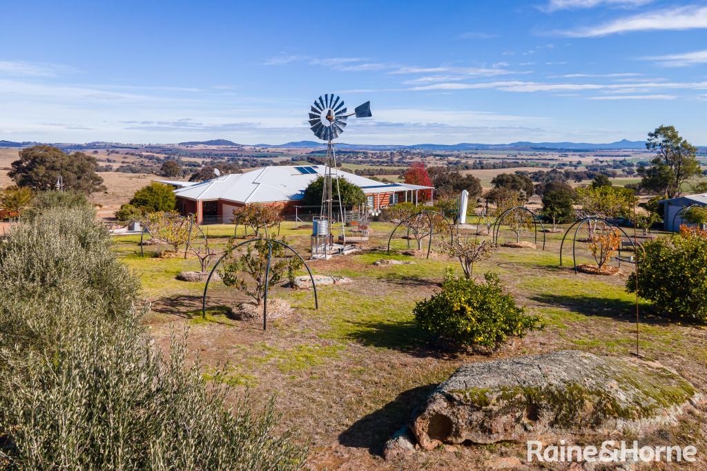 6054 HOLBROOK RD, MAXWELL, NSW 2650