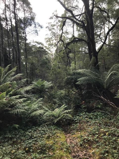 2 Murchison Hwy, Rosebery, TAS 7470