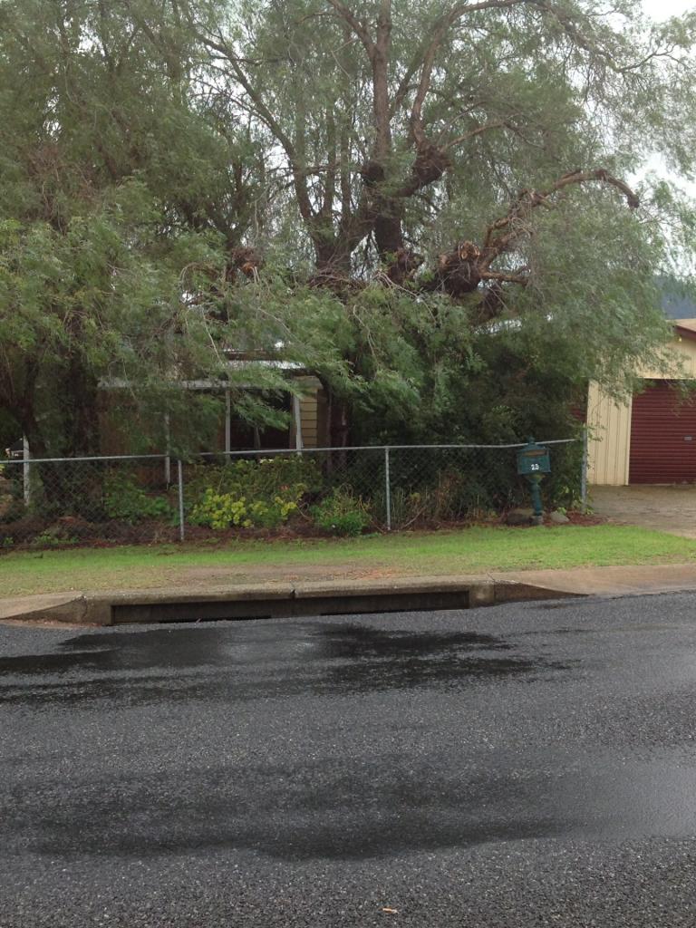 25 Pine St, Killarney, QLD 4373