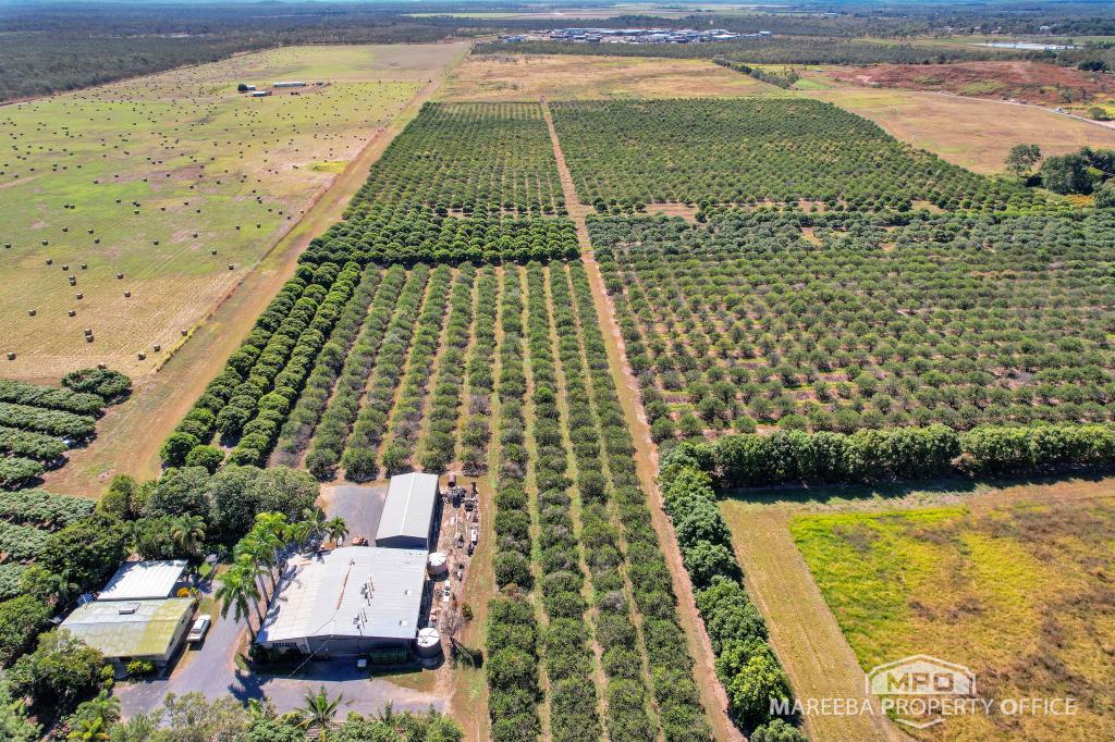 526 Mareeba-Dimbulah Rd, Mareeba, QLD 4880